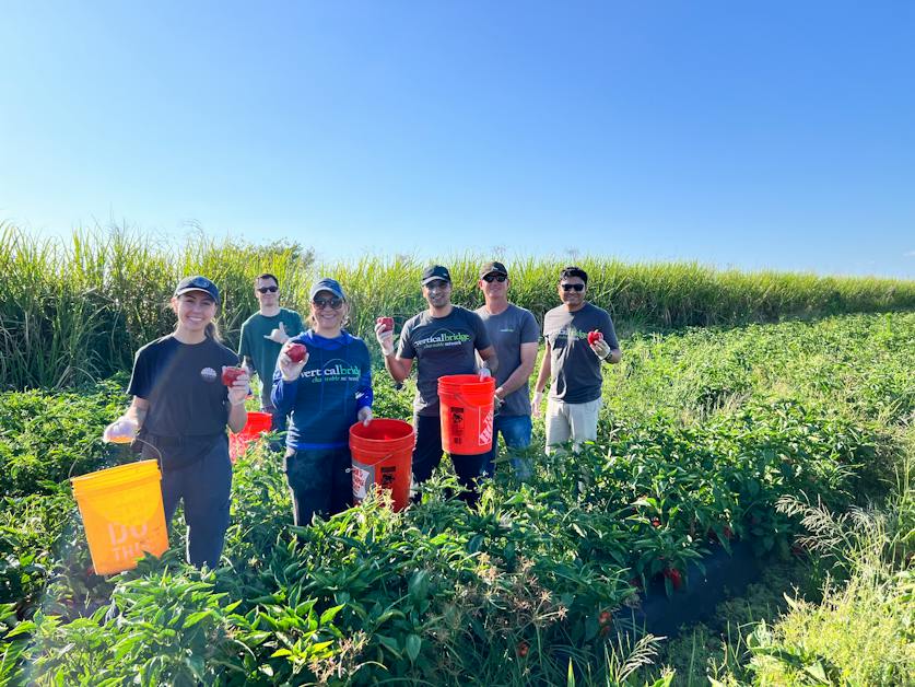 National Volunteer Week 2024 - United Way of Palm Beach County